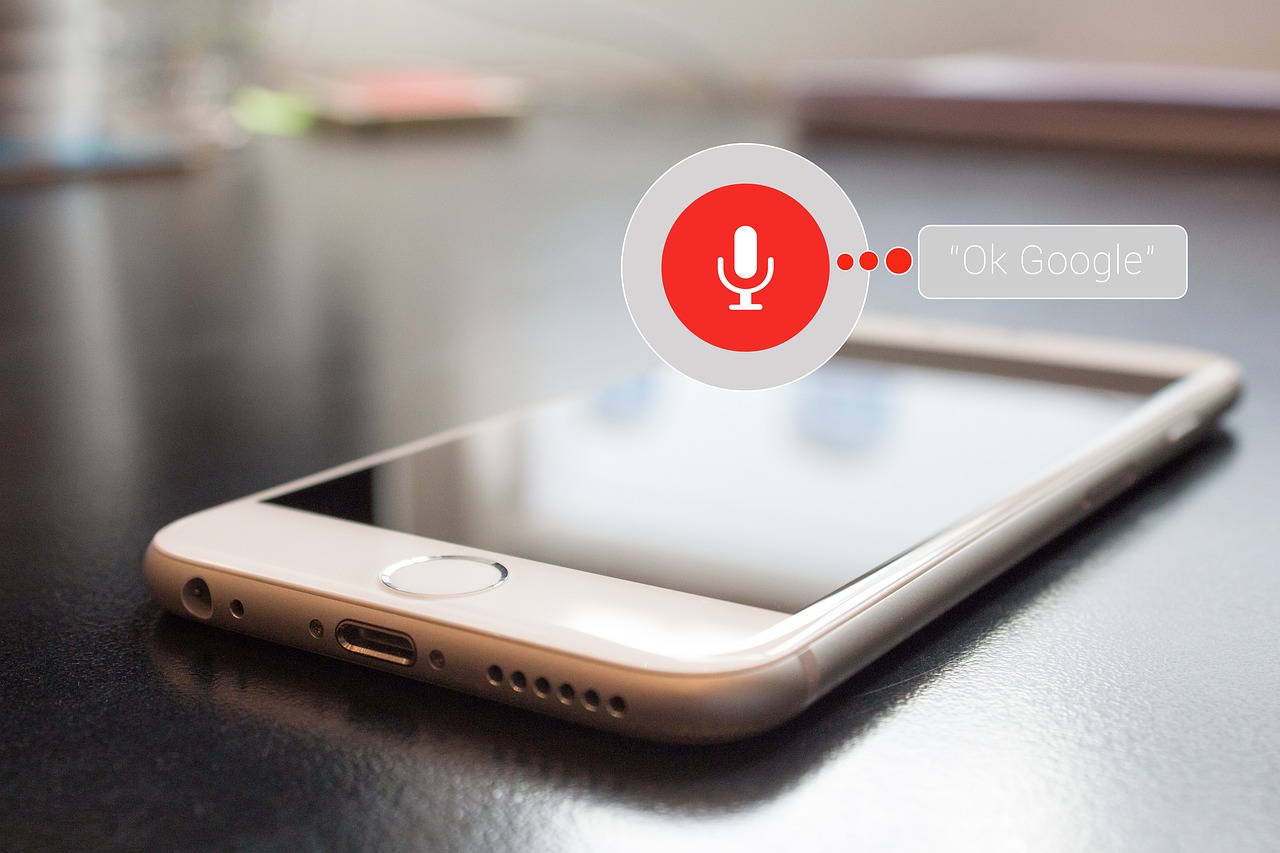voice based search