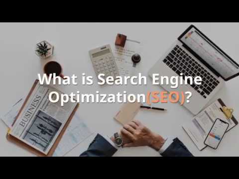 Professional SEO Company